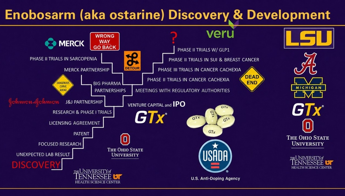 Timeline illustrating the discovery and development of enobosarm (ostarine), from its initial discovery at the University of Tennessee Health Science Center through research, licensing, pharmaceutical partnerships, clinical trials, and the formation of GTx. The drug progressed through Phase II and III trials for several conditions, with later development by Veru.